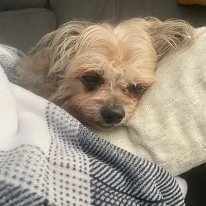 Meet your Posher, Jackie